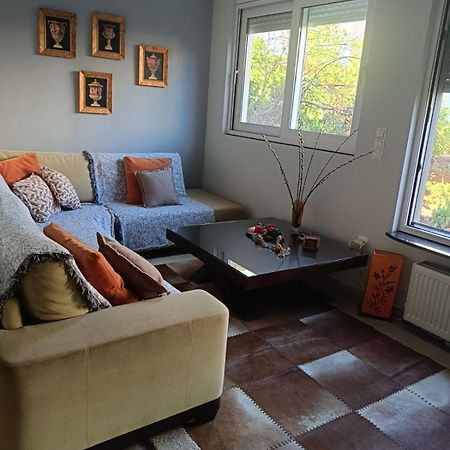 Lefkothea'S House Appartement Athene Buitenkant foto